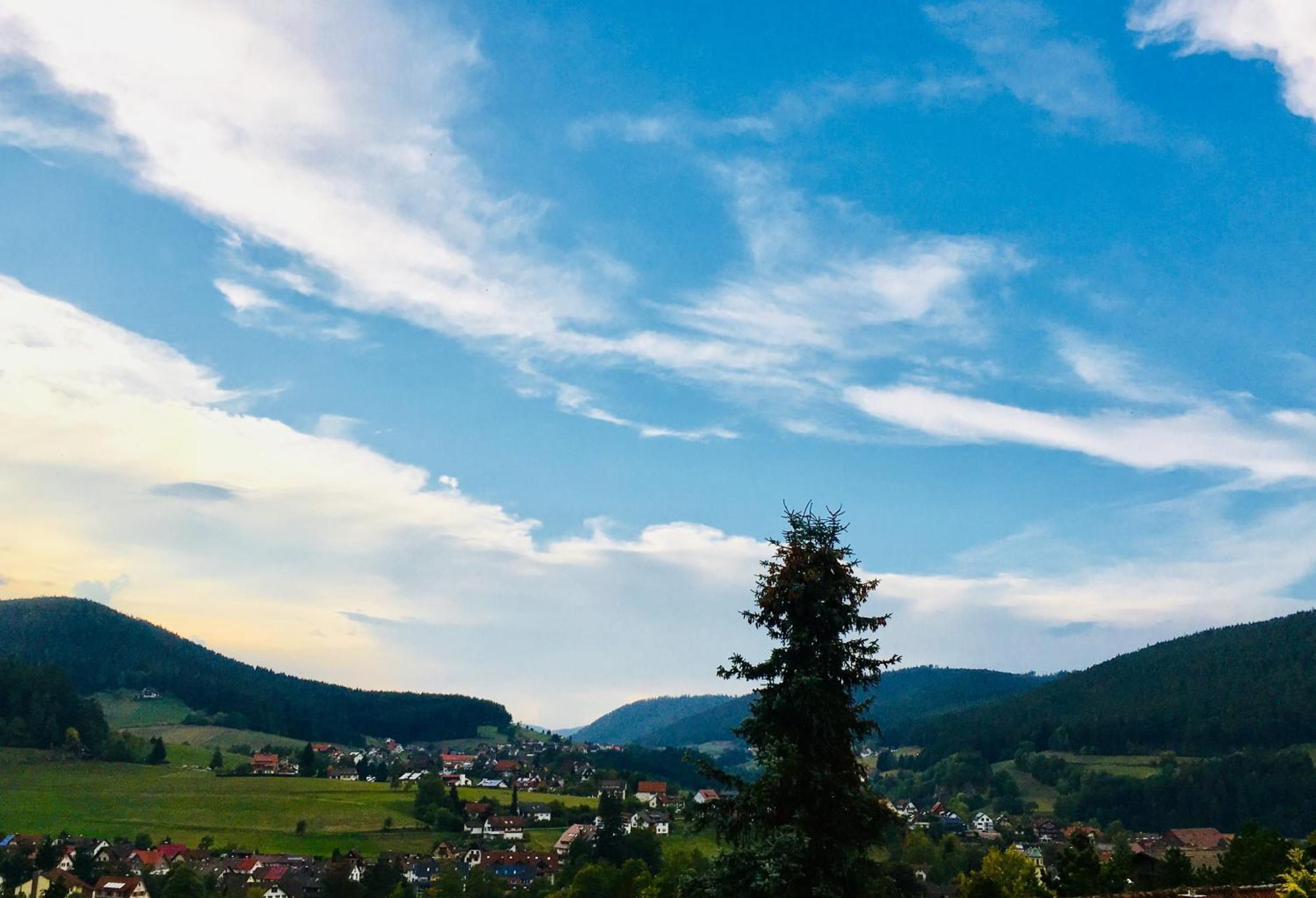 Goldener Hahn B&B Baiersbronn - Ferienwohnungen Mit Hotel Service Nahe Gartenschau Tal X Ngoại thất bức ảnh